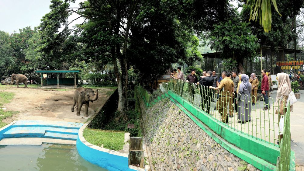 Komisi II DPRD Kota Bukittinggi Tinjau Kondisi Pasa Ateh dan Proses Rehabilitasi TMSBK